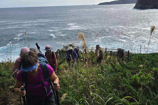 Michinoku Coastal Trail & Sea Kayak in Jodogahama - FAQ