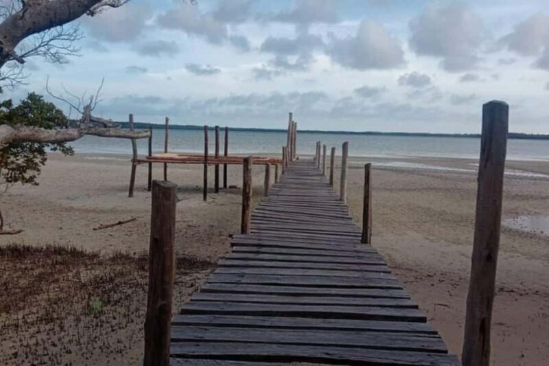 Mida Creek: Mangrove Forest and Lagoon Guided Tour Malindi - Exploring Mida Creek: A Guided Tour of Kenya’s Mangrove Forest and Lagoon