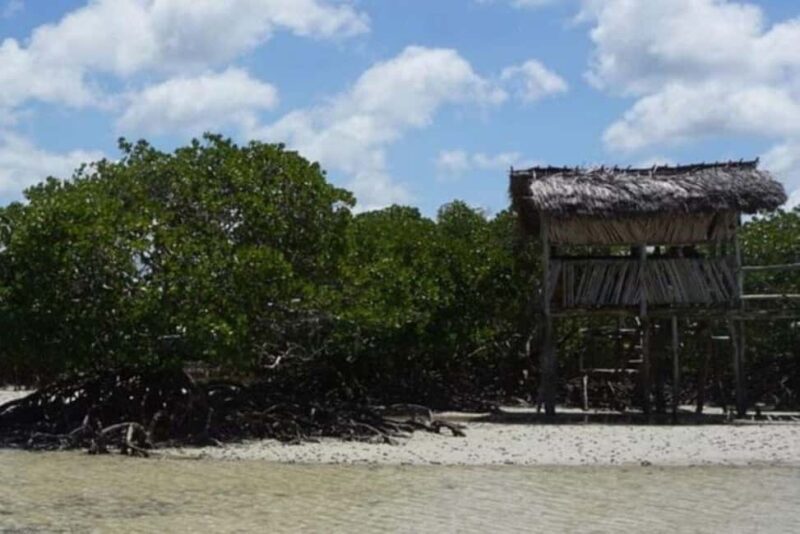 Mida Creek: Mangrove Forest and Lagoon Guided Tour Malindi - What to Expect from Your Mida Creek Guided Tour