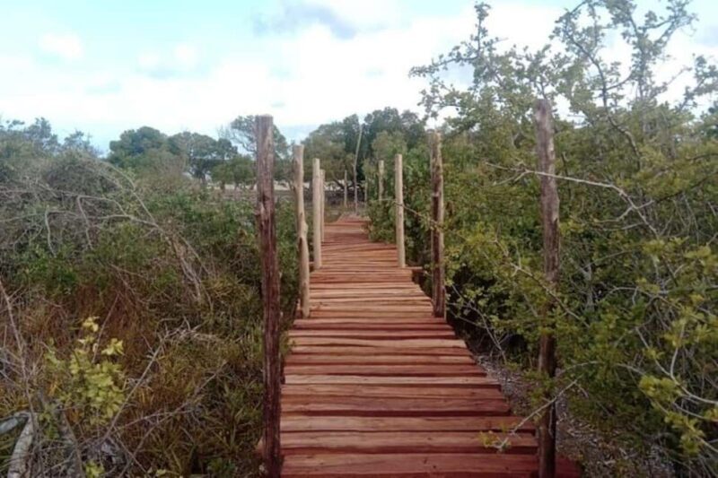 Mida Creek: Mangrove Forest and Lagoon Guided Tour Malindi - Why This Tour Is Worth It