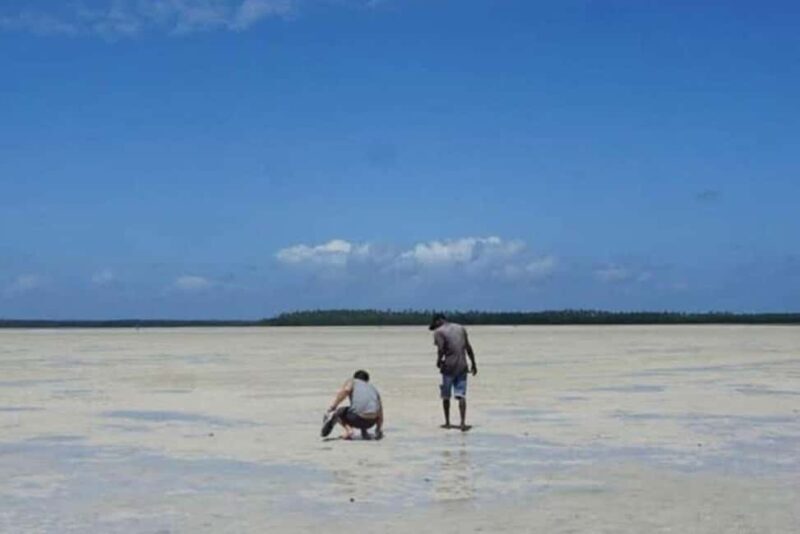 Mida Creek: Mangrove Forest and Lagoon Guided Tour Malindi - FAQ