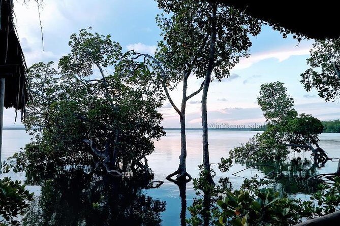 Mida Creek Safari Blue - An Honest Look at the Mida Creek Safari Blue Experience
