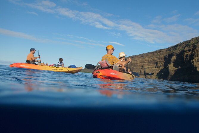 midday-meander-kealakekua-bay-kayak-and-snorkel-adventure-2