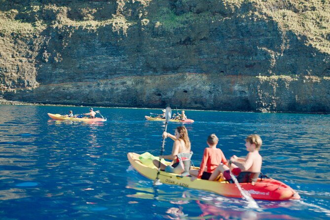 midday-meander-kealakekua-bay-kayak-and-snorkel-adventure