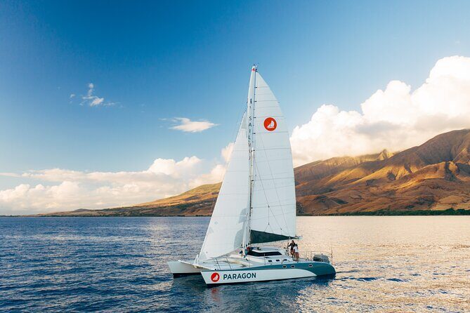Midday Sail with the Whales Ma'alaea - A Deep Dive into the Experience  
