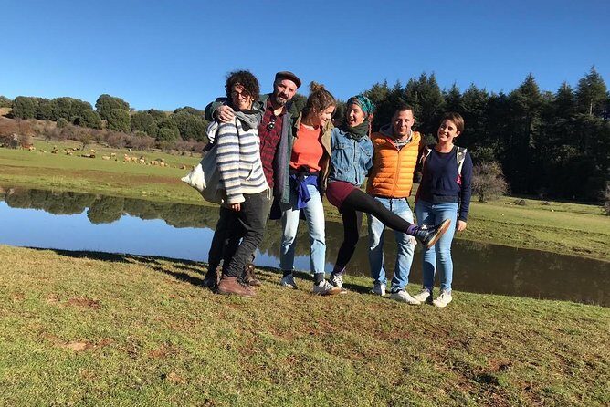Middle Atlas , Cedar Forest and Azrou Day Trip from Fez - The Drive into Morocco’s Cooler Side: Starting from Fez