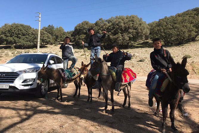 Middle Atlas , Cedar Forest and Azrou Day Trip from Fez - The Charm of Ifrane: Morocco’s Alpine Town