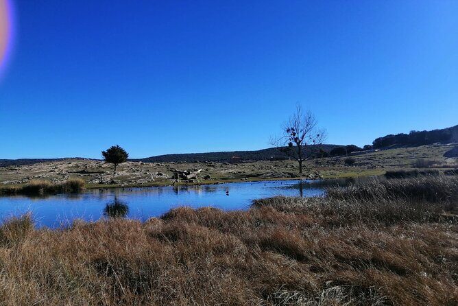 Middle Atlas Mountains and Azrou Day Tour from Fez - FAQ