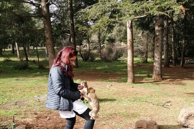 Middle Atlas Mountains, Cedar Forest and Azrou Day Trip from Fez - FAQ
