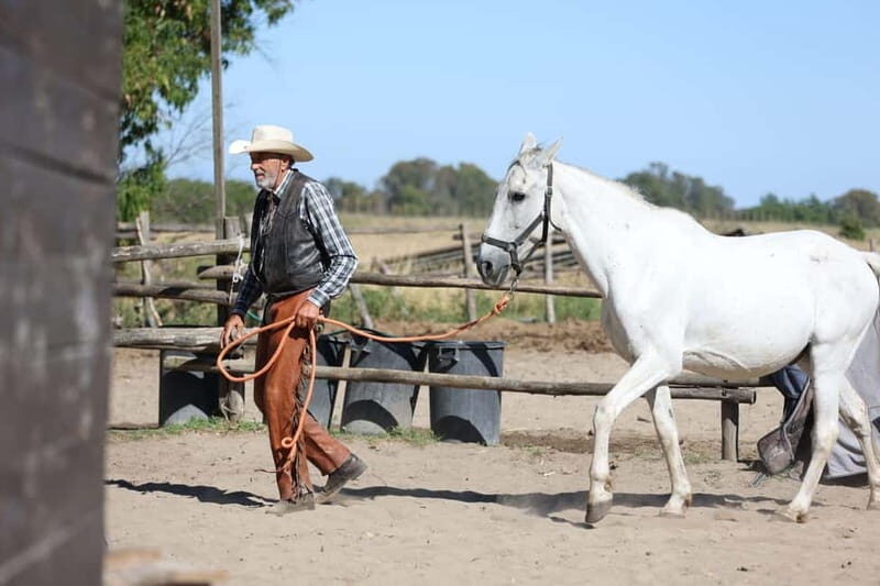 Middle day out of Rome: horsback riding adventure with meals - Exploring the Experience: What to Expect from Start to Finish