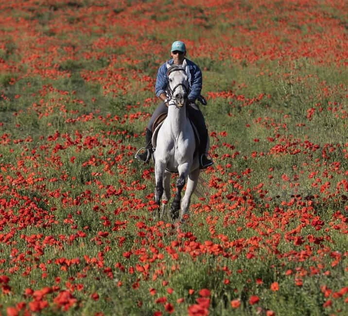 Middle day out of Rome: horsback riding adventure with meals - Who Will Enjoy This Experience?