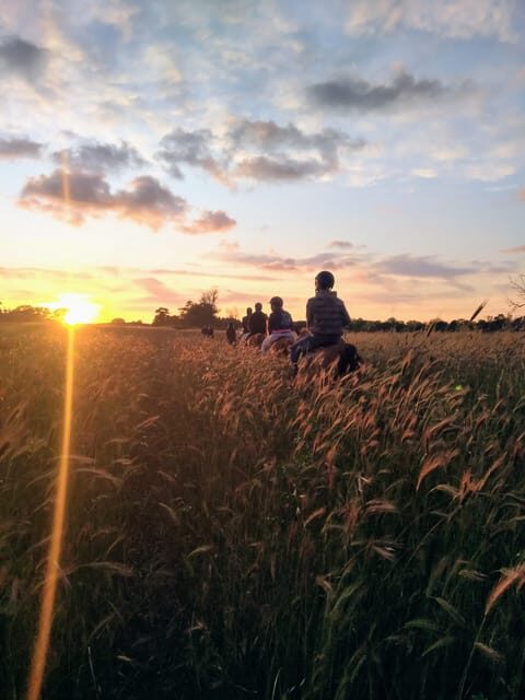 Middle day out of Rome: horsback riding adventure with meals - Final Thoughts