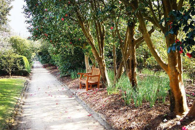 Middleton Place Admission with Self Guided Tour and Lunch - Additional Attractions and Shopping