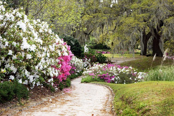 Middleton Place Admission with Self Guided Tour and Lunch - Practical Details: What to Expect