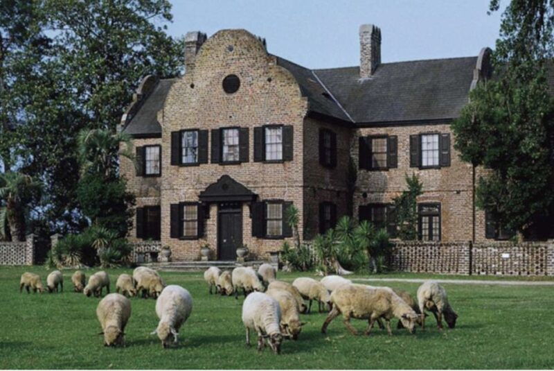 middleton-place-plantation-tour