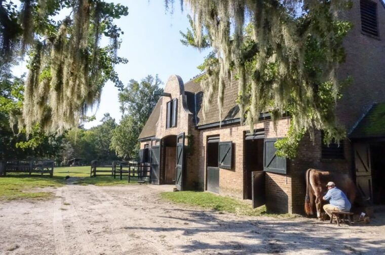 middleton-place-plantation-tour