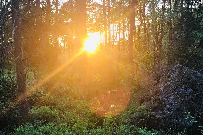 midnight-sun-and-campfire-forest-evening-hike-outside-stockholm