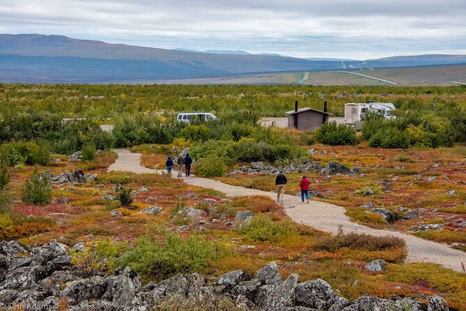 midnight-sun-arctic-circle-drive-adventure