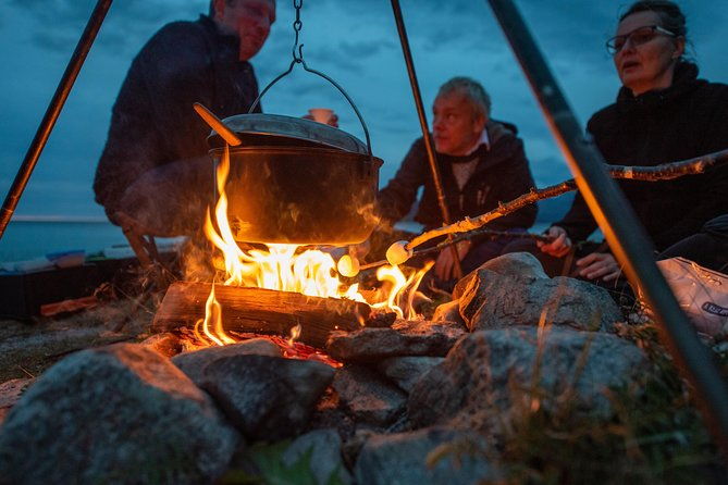 midnight-sun-campfire-tour-from-tromso