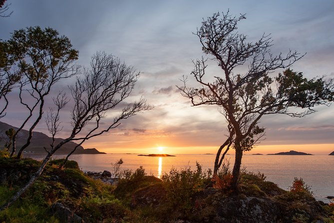 midnight-sun-campfire-tour-from-tromso