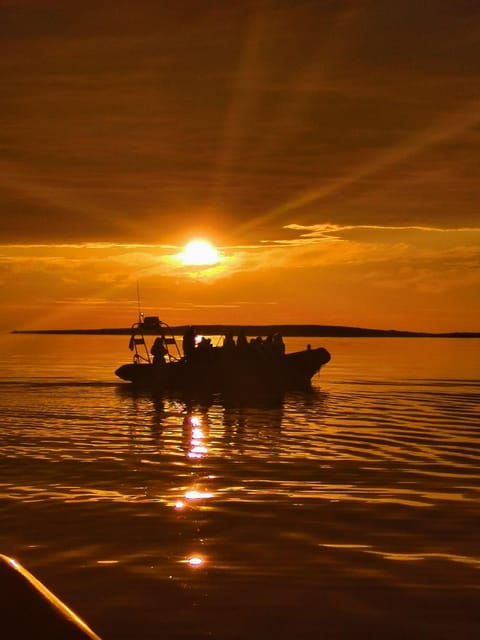 midnight-sun-safari