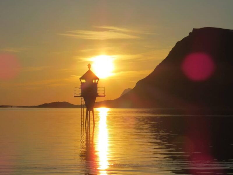 midnight-sun-safari