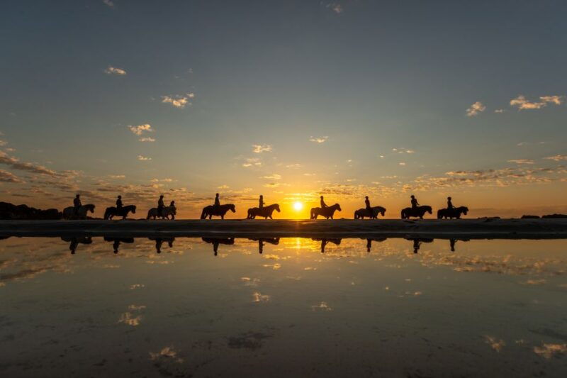 midnight-sun-tour