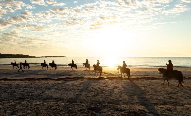 midnight-sun-tour