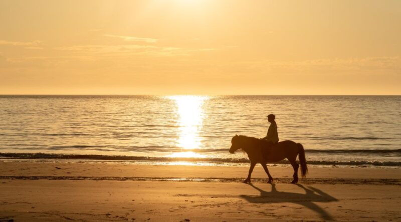 midnight-sun-tour
