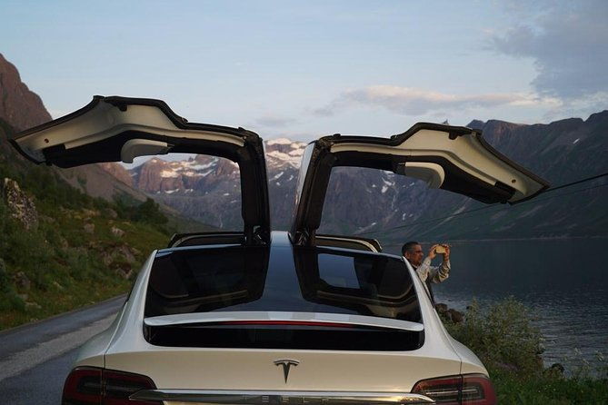 midnightsun-eco-friendly-tesla-model-x