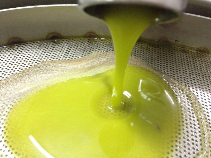 miggiano-olive-oil-mill-walking-tour-with-tastings