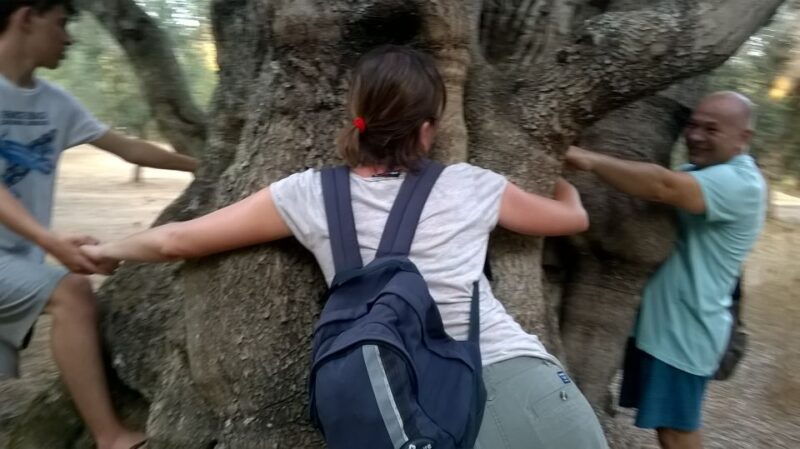 miggiano-olive-oil-mill-walking-tour-with-tastings