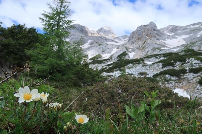 mighty-mount-triglav-climb-summer-special-join-group-2
