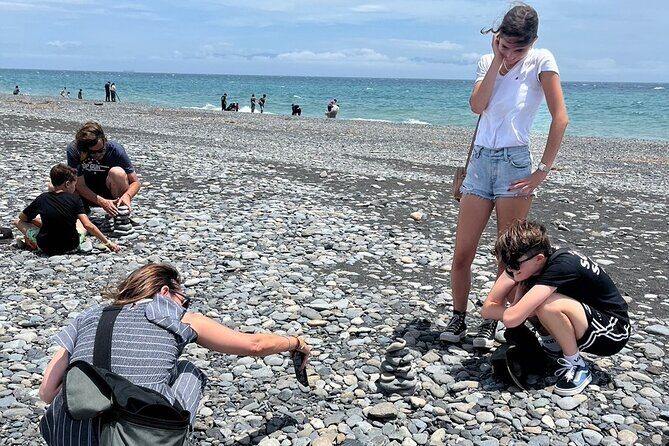 Miho no Matsubara, Kunozan Toshogu, Nihondaira Guided Tour - Practical Tips for Travelers