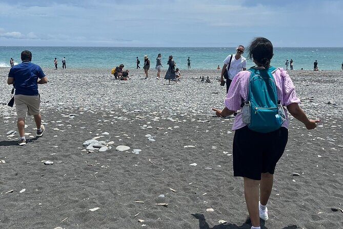 Miho no Matsubara, Kunozan Toshogu, Nihondaira Guided Tour - The Sum Up