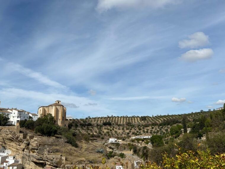 mijas-private-vip-tour-ronda-and-setenil-de-las-bodegas