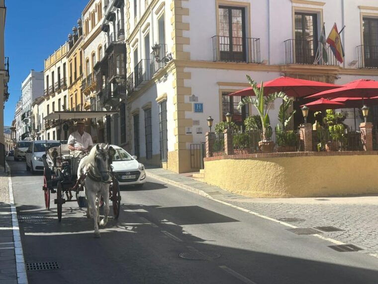 mijas-private-vip-tour-ronda-and-setenil-de-las-bodegas