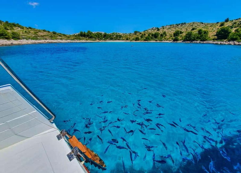 Mikado Kornati Excursion with snorkeling and hiking stops - Final Thoughts: Is It Worth It?