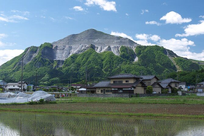 mikoshi-a-portable-shrine-into-the-river-chichibu-kawase-fest