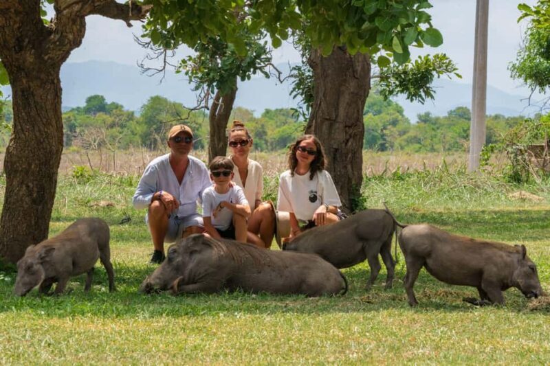Mikumi Day Safari Tour - An In-Depth Look at the Mikumi Day Safari Tour