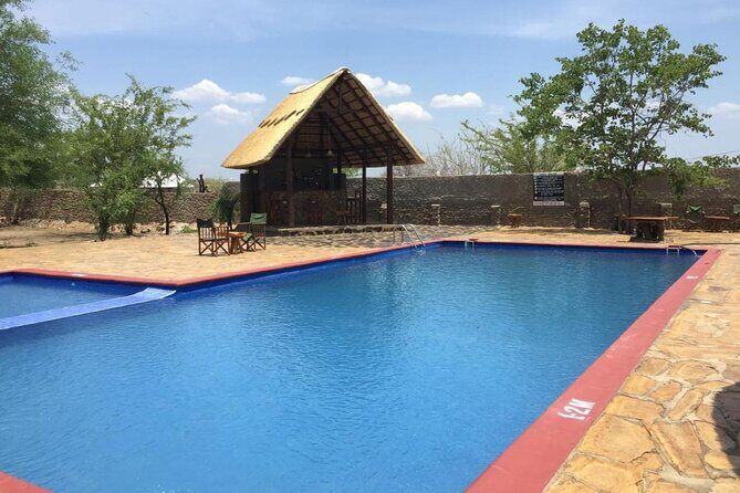 Mikumi National Park 2 Days/ 1 Night - Who Is This Tour Best For?