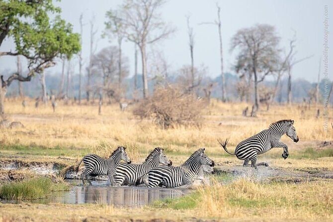 Mikumi National Park 3 Day Tour - FAQ