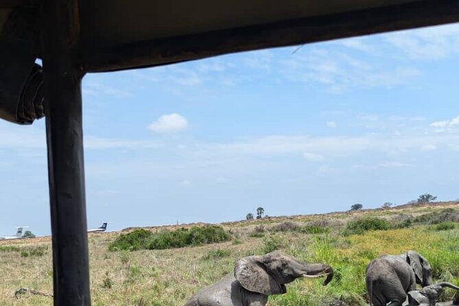 Mikumi National Park Day Trip by Train From Dar Es Salaam - FAQs: Practical Questions Answered