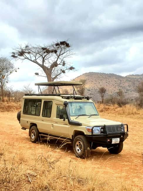 Mikumi National Park, Day Trip from Dar Es Salaam - Discovering Mikumi: A Brief Overview