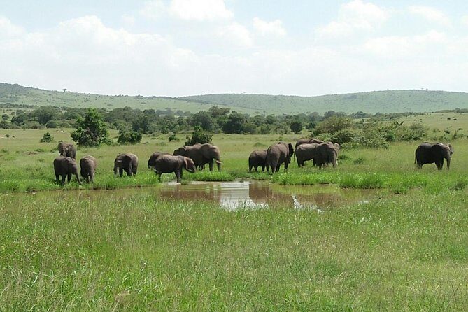 Mikumi national park full day tour from Dar es sallam - Who is This Tour Best For?