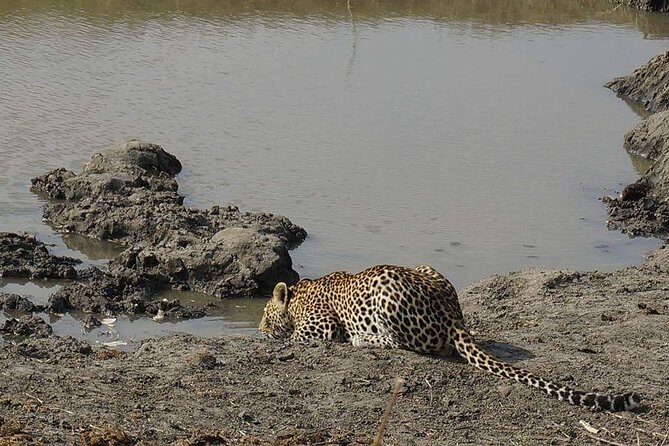 Mikumi National Park in a Day - A Day Tour from Morogoro - Exploring Mikumi National Park in a Day: A Practical & Authentic Review