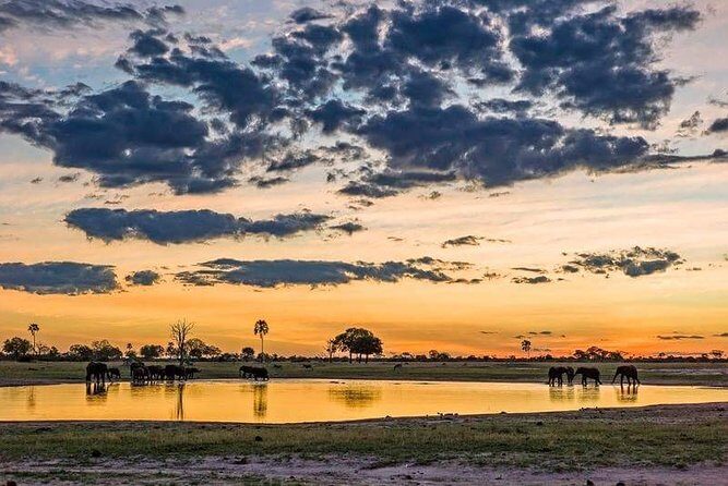 Mikumi National Park in a Day - A Day Tour from Morogoro - Final Thoughts