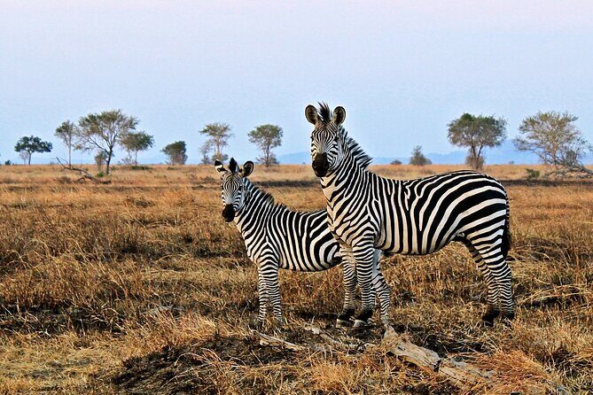 Mikumi National Park & Udzungwa Water Falls 3 Days Group Tour - Challenges and Considerations