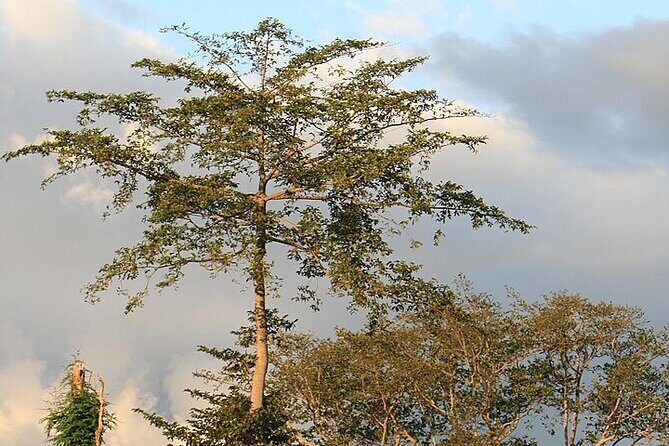 Mikumi National Park & Udzungwa Water Falls 3 Days Group Tour - Frequently Asked Questions