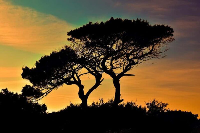 Mikumi NP safari & Maasai village & sunset: 2 days 1 night - Authenticity and Value